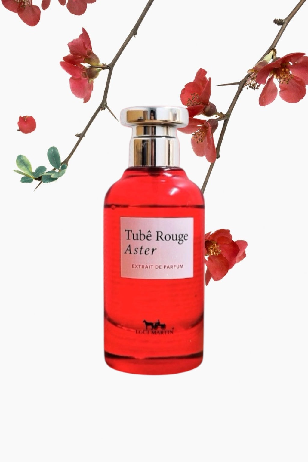 Tubê Rouge Aster - Loui Martin